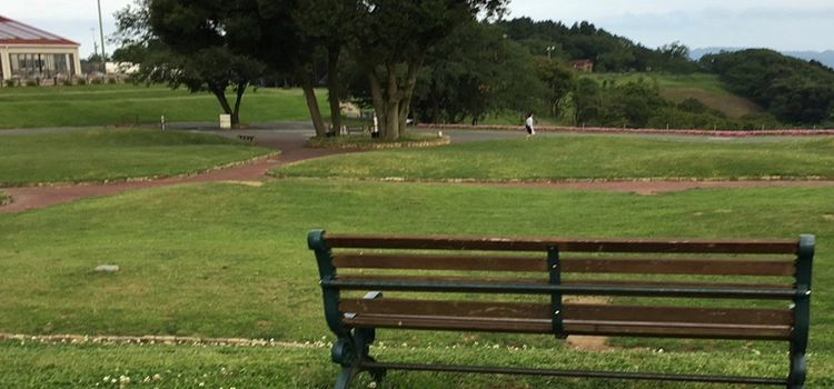 効率よく学習するには